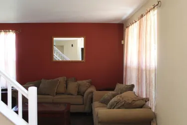 High-quality paint