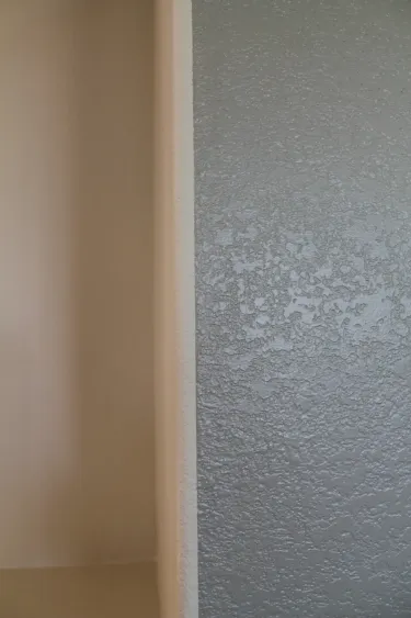 Darlene Kay interior painting project